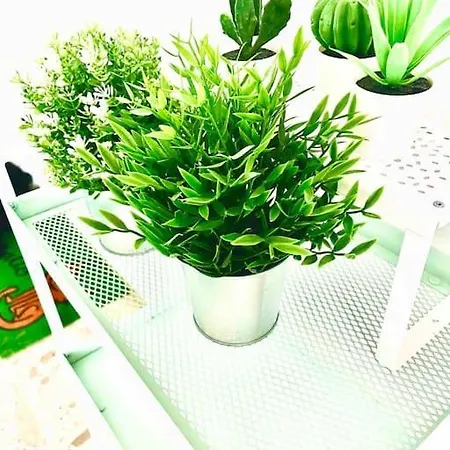 Apartment Casaglo *